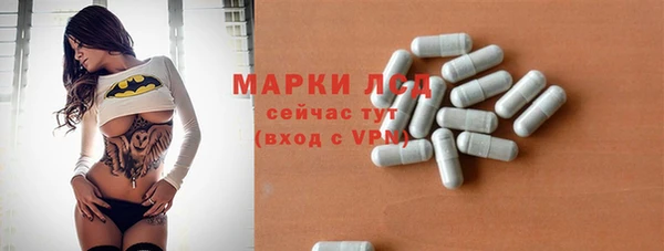 трава Ельня