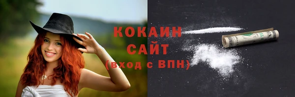 трава Ельня