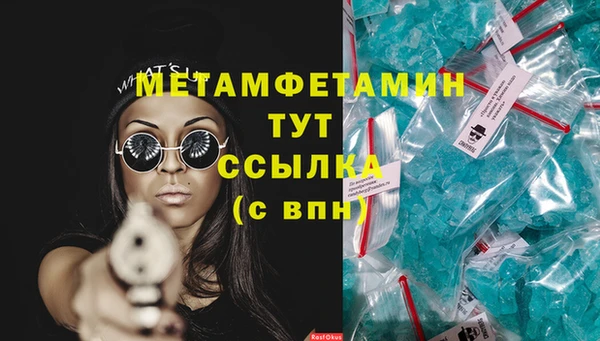трава Ельня