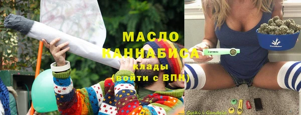 трава Ельня