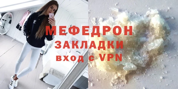 трава Ельня