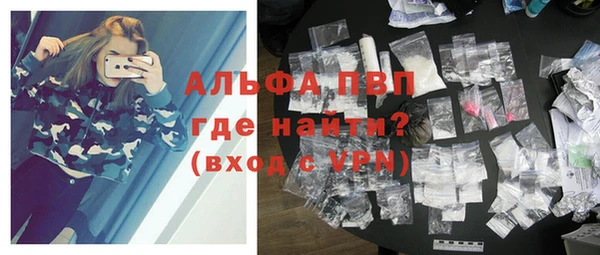 трава Ельня