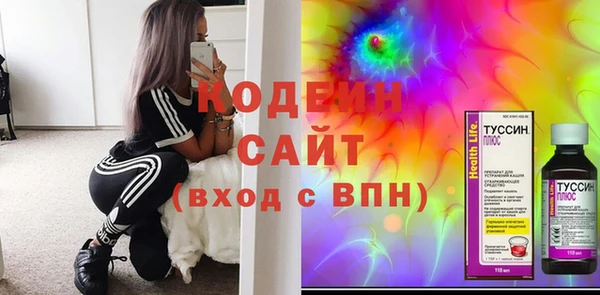 трава Ельня
