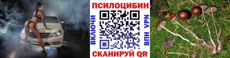 Галлюциногенные грибы MAGIC MUSHROOMS  Купить где  Островной 