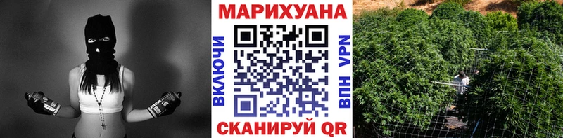 Бошки Шишки индика  Купить где  Островной 
